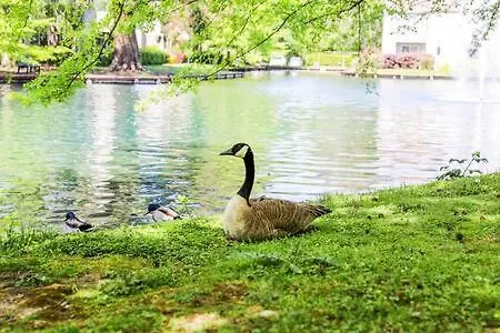 Experience Sacramento With Tranquil Lakeside Views